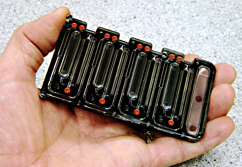 Photo of BioHawk bioassay coupon